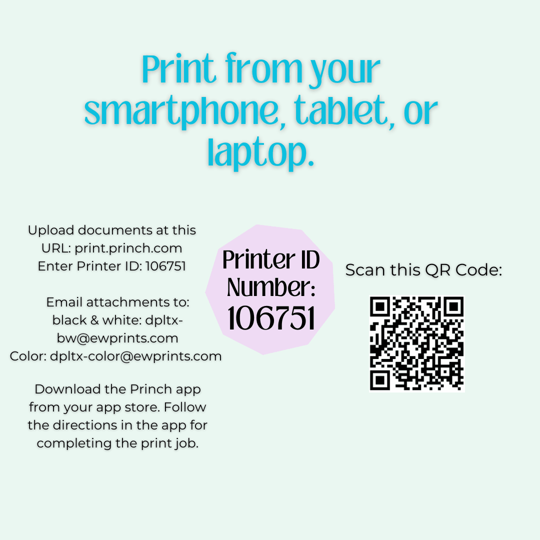 Copy of Princh Flyer ig flier